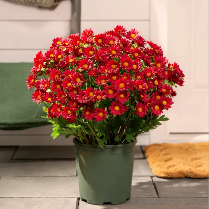 🔥Last Day Each- Artificial Outdoor Sunset Mums Flowers -  Waterproof, Windproof