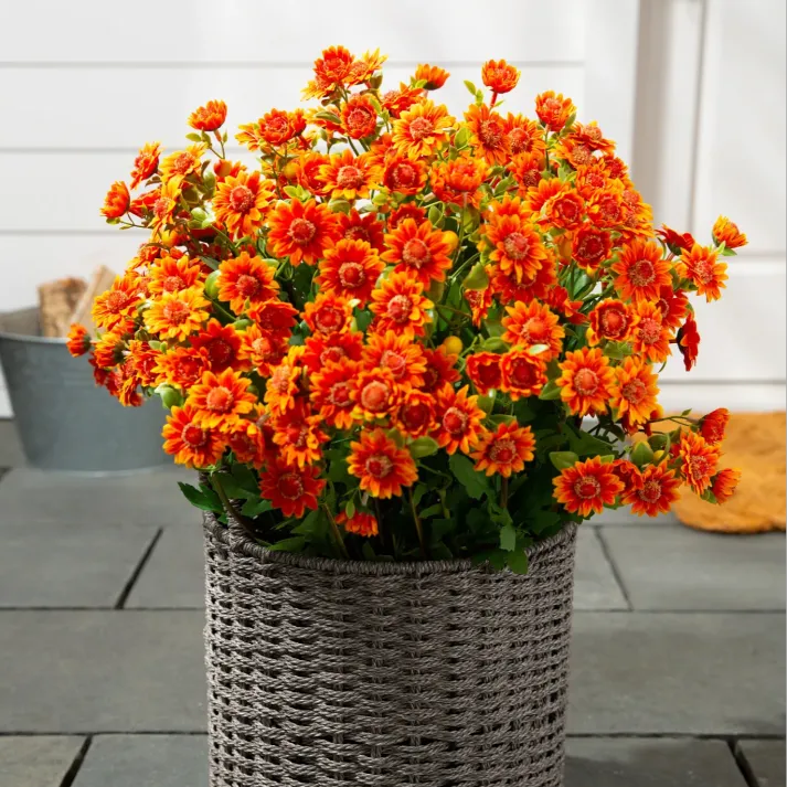 🔥Last Day Each- Artificial Outdoor Sunset Mums Flowers -  Waterproof, Windproof