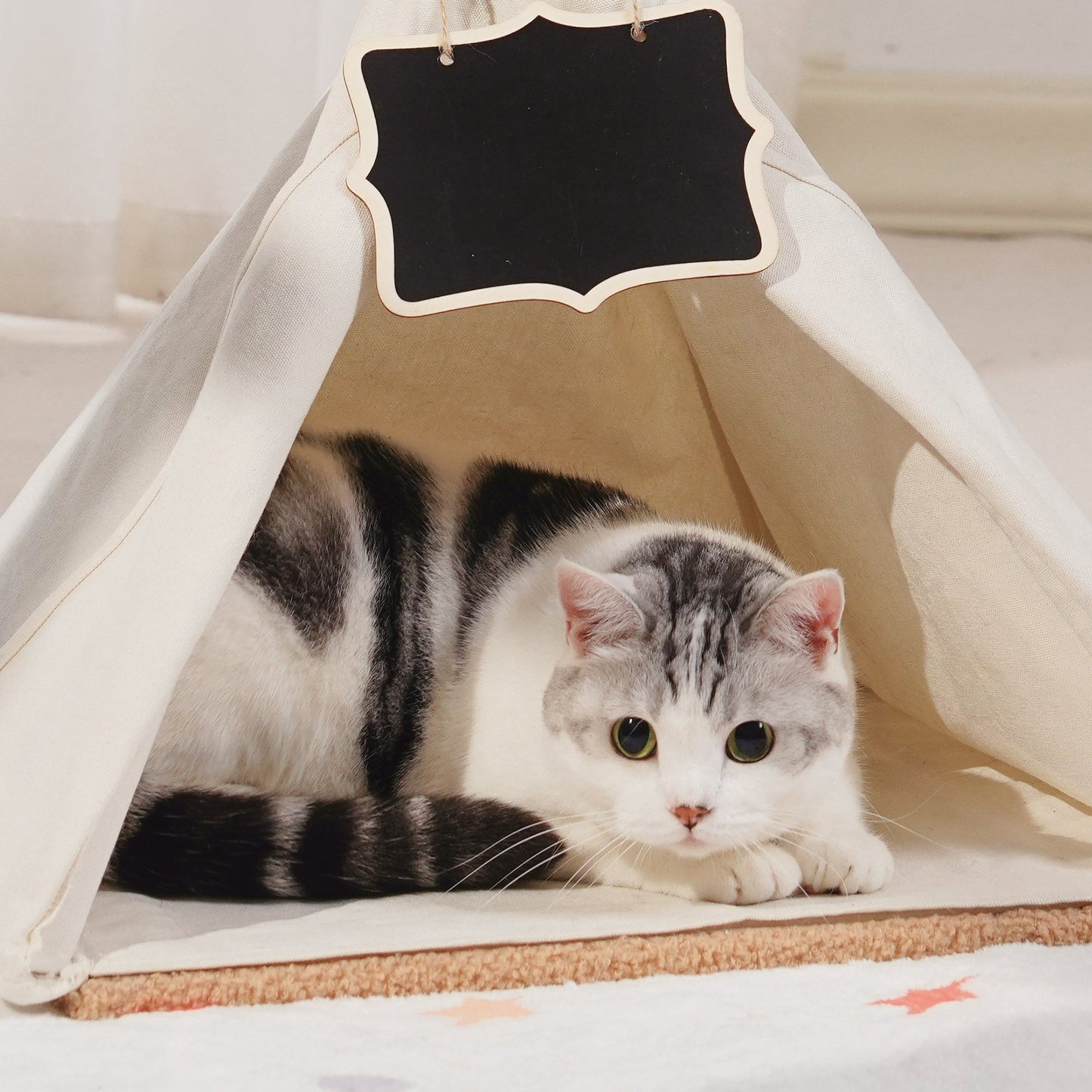 Cat Teepee Bed with Scratching Post