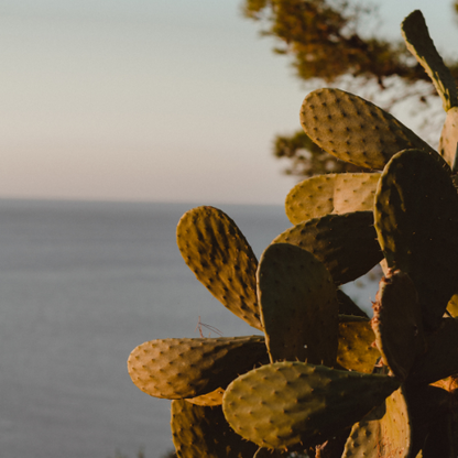 Vintagesnap Retro Digital Camera📸