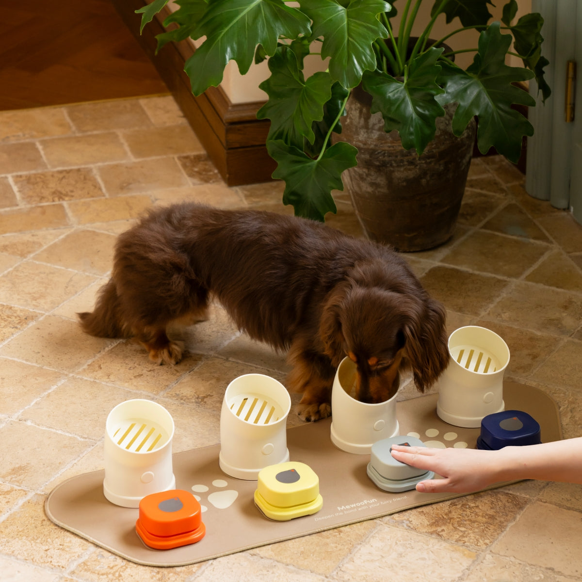 Vibe Classic Talking Button Kit Achiever