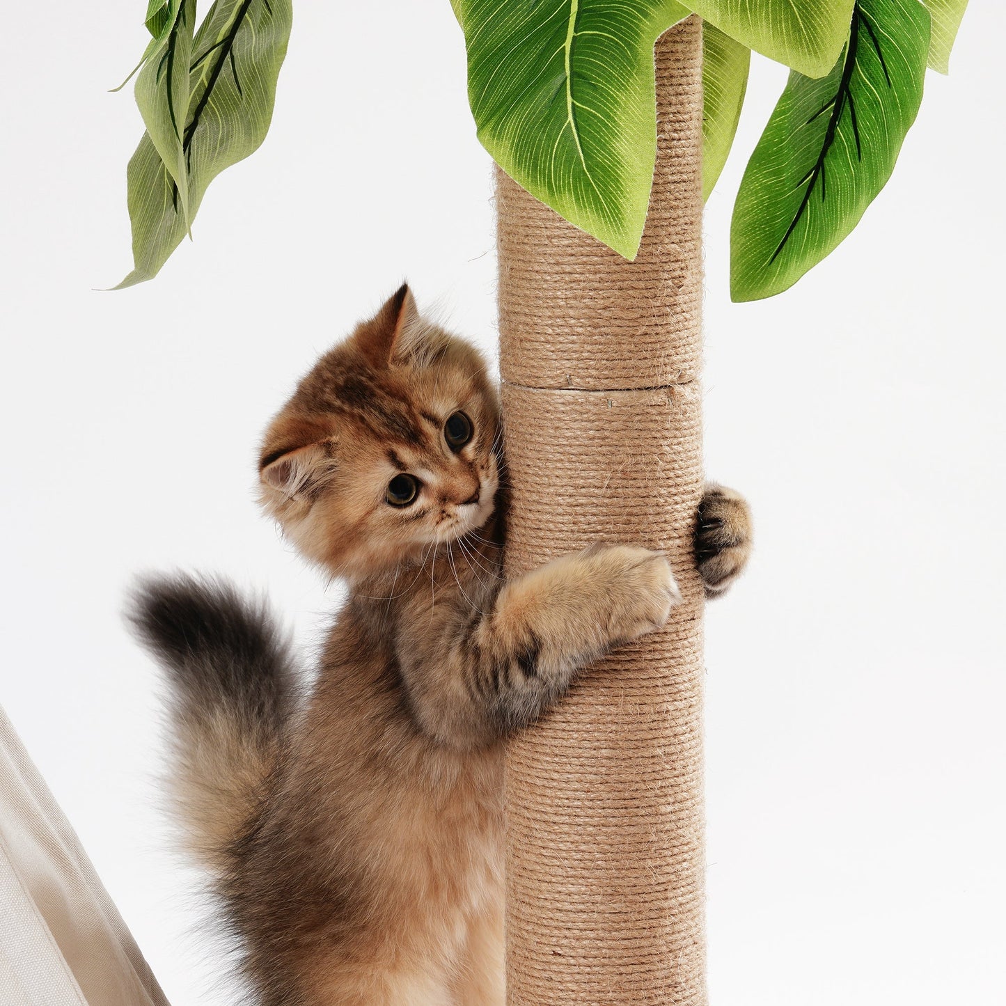 Cat Teepee Bed with Scratching Post