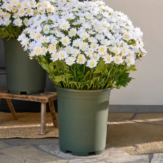 🔥Last Day Each- Artificial Outdoor Sunset Mums Flowers -  Waterproof, Windproof