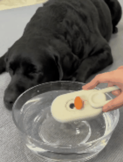 🐕‍🦺 PetAura Pet Grooming Brush